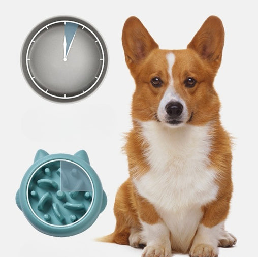 PawCalm Slow Feeder Bowl — Stop Fast Eating, Reduce Anxiety