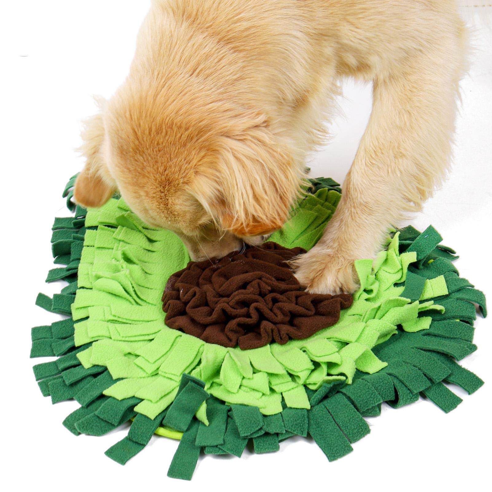 PawCalm Snuffle Mat